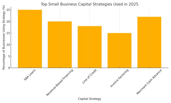 small business capital strategies 1